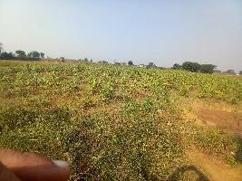  Industrial Land for Sale in Silani Gate, Jhajjar