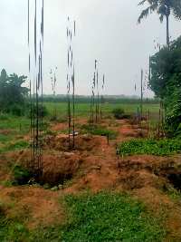  Residential Plot for Sale in Naraj, Cuttack