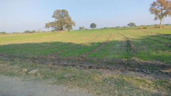  Agricultural Land for Sale in Ujjain Road, Indore