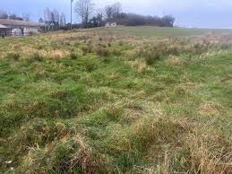  3 Bigha Residential Plot for Sale in Polba, Hooghly