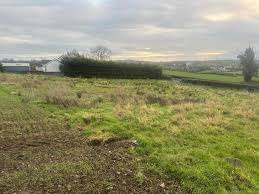  1 Bigha Residential Plot for Sale in Singur, Hooghly