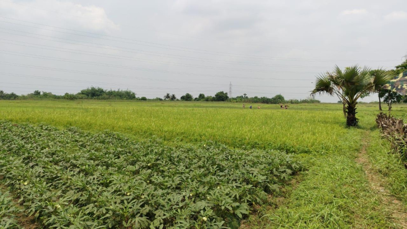  16 Bigha Residential Plot for Sale in Polba, Hooghly