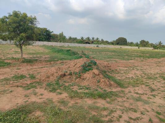  5 Bigha Residential Plot for Sale in Haripal, Hooghly