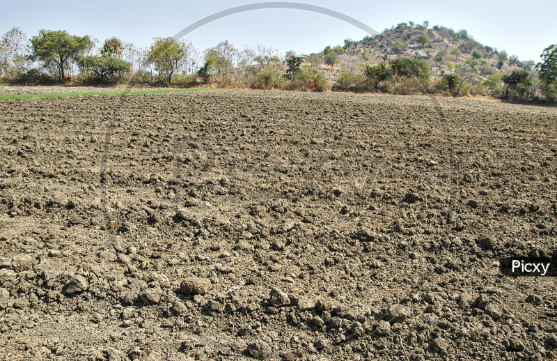  5 Bigha Residential Plot for Sale in Haripal, Hooghly