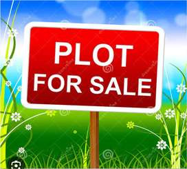 Commercial Land for Sale in Ratpur Colony, Pinjore, Panchkula