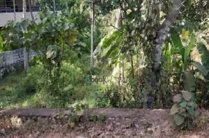  Residential Plot for Sale in Panoor, Kannur