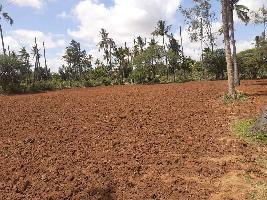  Agricultural Land for Sale in Kora, Tumkur