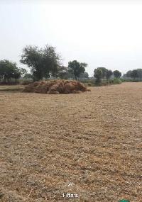  Agricultural Land for Sale in Etmadpur, Agra
