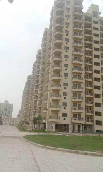 3 BHK Residential Apartment 2035 Sq.ft. for Sale in Sector 52 Gurgaon