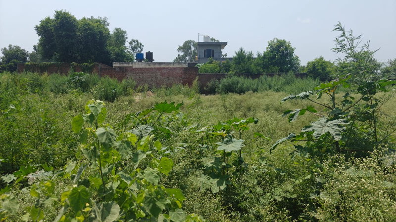  Agricultural Land 8800 Sq. Yards for Sale in Airport Road, Amritsar