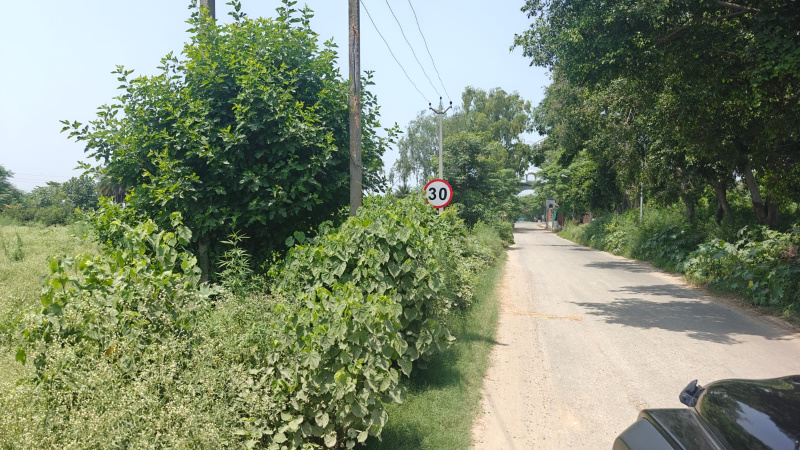  Agricultural Land 8800 Sq. Yards for Sale in Airport Road, Amritsar