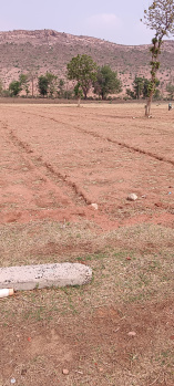  Agricultural Land for Sale in Jatara, Tikamgarh