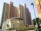  Residential Plot for Rent in Neharpar, Faridabad