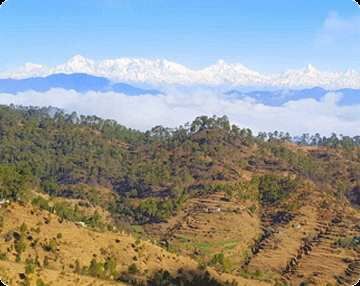  Guest House 300 Sq.ft. for Sale in Lamgara, Almora
