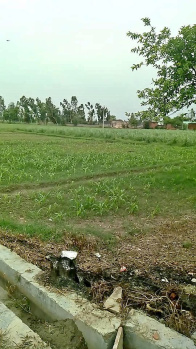  Agricultural Land for Sale in Badli, Jhajjar