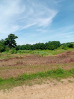  Agricultural Land for Sale in Jewar, Gautam Buddha Nagar