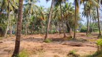  Residential Plot for Sale in Borim, Ponda, Goa