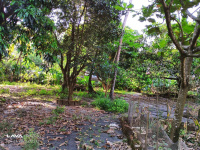 2 BHK Flat for Sale in Tivim, North Goa, 