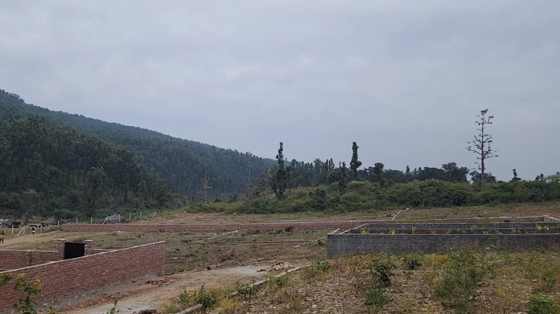  Residential Plot 9720 Sq.ft. for Sale in Naukuchiatal, Nainital