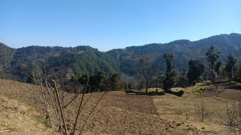  Agricultural Land for Sale in Dhanachuli, Nainital