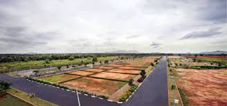  Residential Plot 270 Sq. Yards for Sale in Yamuna Expressway, Aligarh