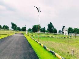  Residential Plot 290 Sq. Yards for Sale in Yamuna Expressway, Aligarh