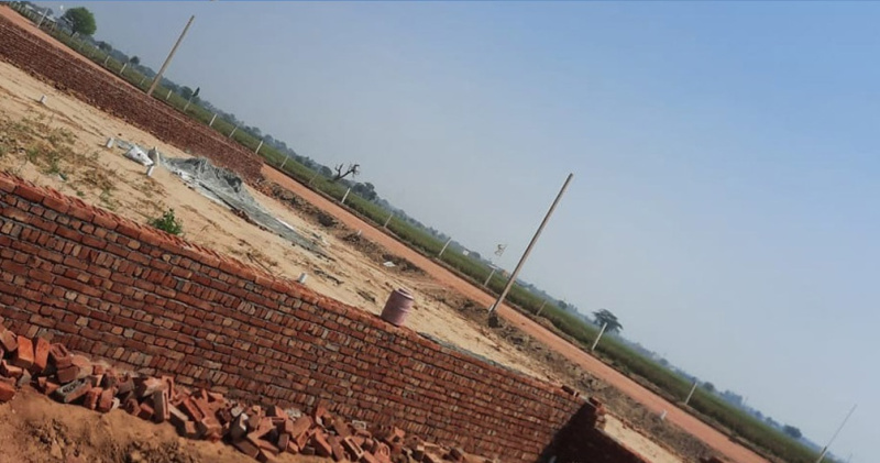  Residential Plot 118 Sq. Yards for Sale in Jewar, Gautam Buddha Nagar