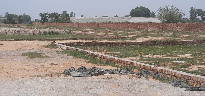  1800 Sq.ft. Residential Plot for Sale in Pari Chowk, Greater Noida
