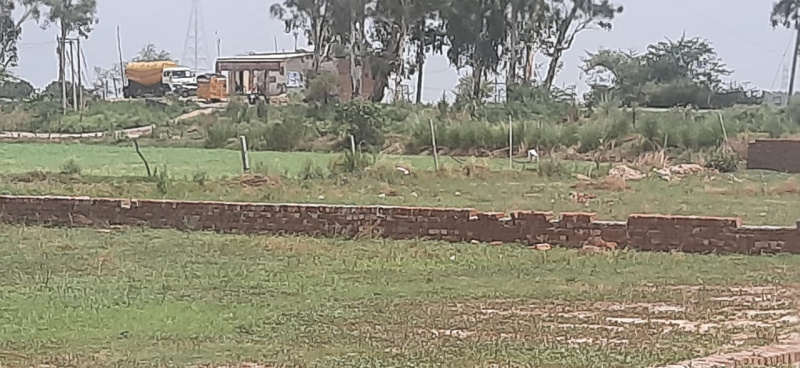  Commercial Land 8000 Sq.ft. for Sale in Chikhaldara, Amravati