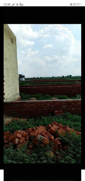  Agricultural Land 100 Sq. Yards for Sale in Tappal, Aligarh