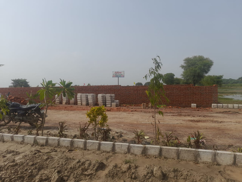  Residential Plot 900 Sq.ft. for Sale in New Colony Extension, Palwal