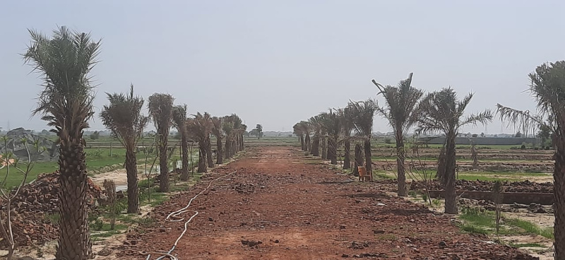 100 Sq.ft. Residential Plot for Sale in Gautam Budh Nagar, Greater Noida