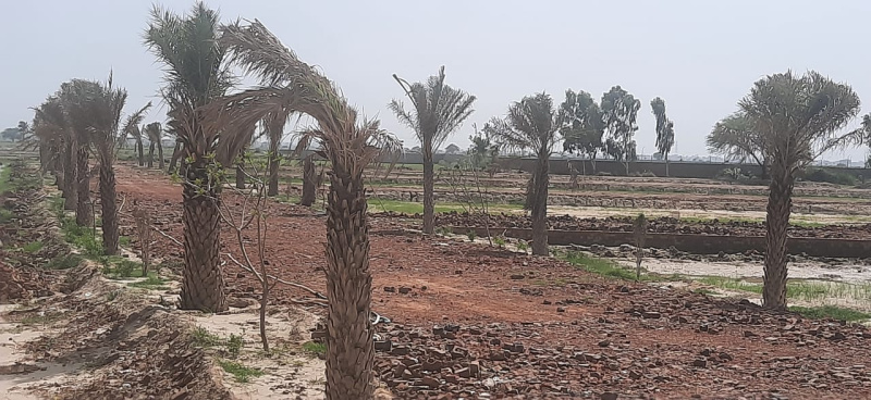 100 Sq.ft. Residential Plot for Sale in Gautam Budh Nagar, Greater Noida