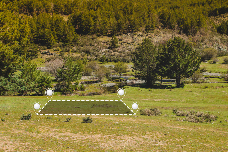 180 Bigha Residential Plot for Sale in Gautam Budh Nagar, Greater Noida
