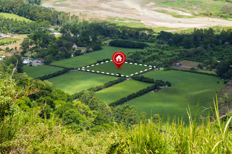 180 Bigha Residential Plot for Sale in Gautam Budh Nagar, Greater Noida