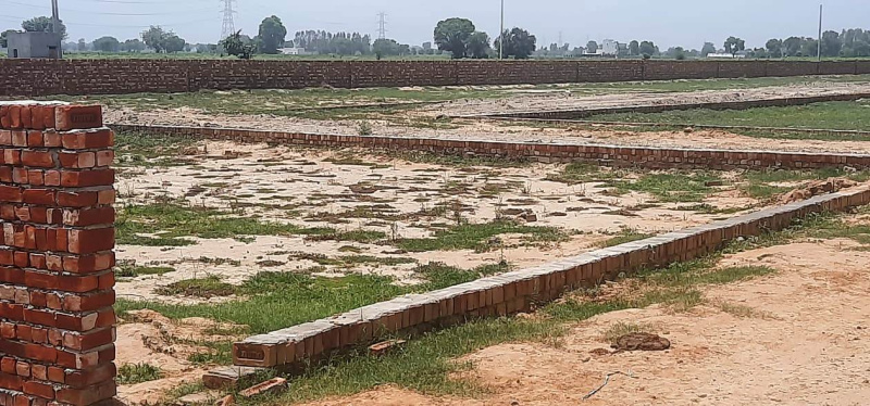 250 Sq. Yards Residential Plot for Sale in Gautam Budh Nagar, Greater Noida