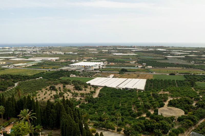  250 Sq. Yards Residential Plot for Sale in Jewar, Gautam Buddha Nagar