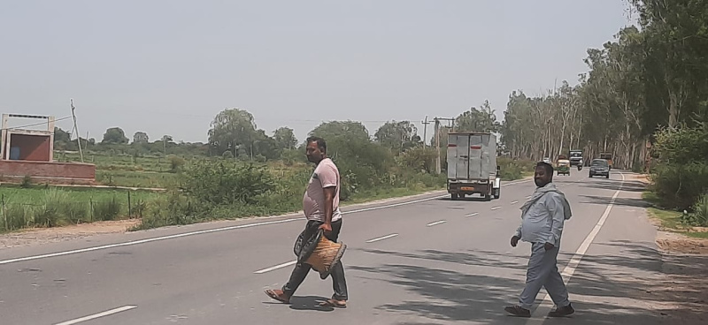  100 Sq. Yards Residential Plot for Sale in Jewar, Gautam Buddha Nagar