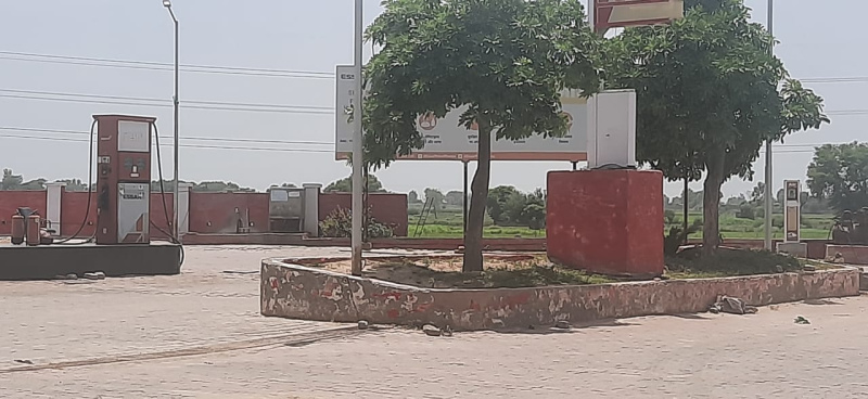  100 Sq. Yards Residential Plot for Sale in Jewar, Gautam Buddha Nagar