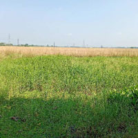  Agricultural Land for Sale in Rajpur Sonarpur, South 24 Parganas