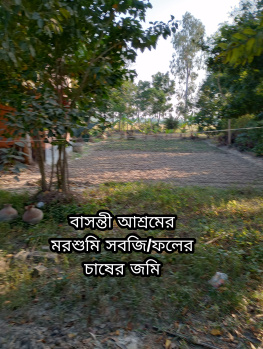  Residential Plot for Sale in Basanti, South 24 Parganas