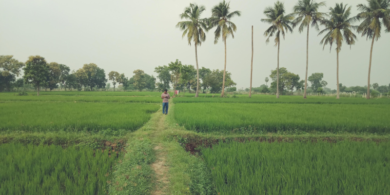  5 Acre Agricultural/Farm Land for Sale in Lalgudi, Tiruchirappalli