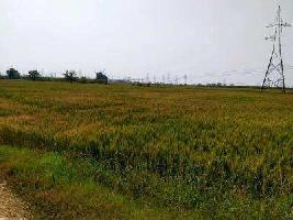  Agricultural Land for Sale in Khair, Aligarh