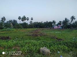  Agricultural Land for Sale in KTC Nagar, Tirunelveli