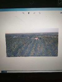  Agricultural Land for Sale in Maduravayol, Chennai