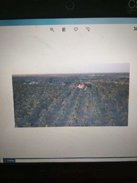 Agricultural Land 62 Acre for Sale in Maduravayol, Chennai