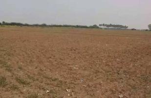  Agricultural Land for Rent in Hatkanangale, Kolhapur