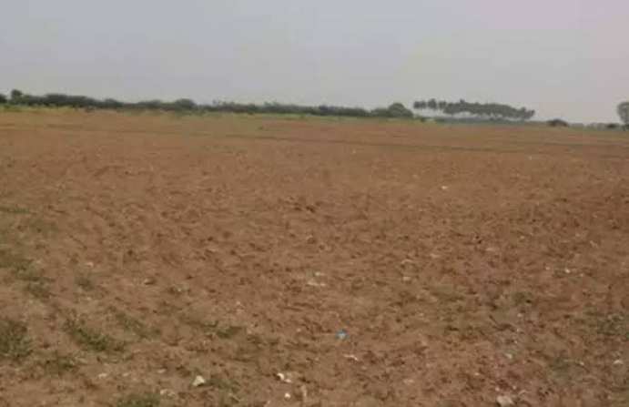 Agricultural Land 1 Acre for Rent in Hatkanangale, Kolhapur
