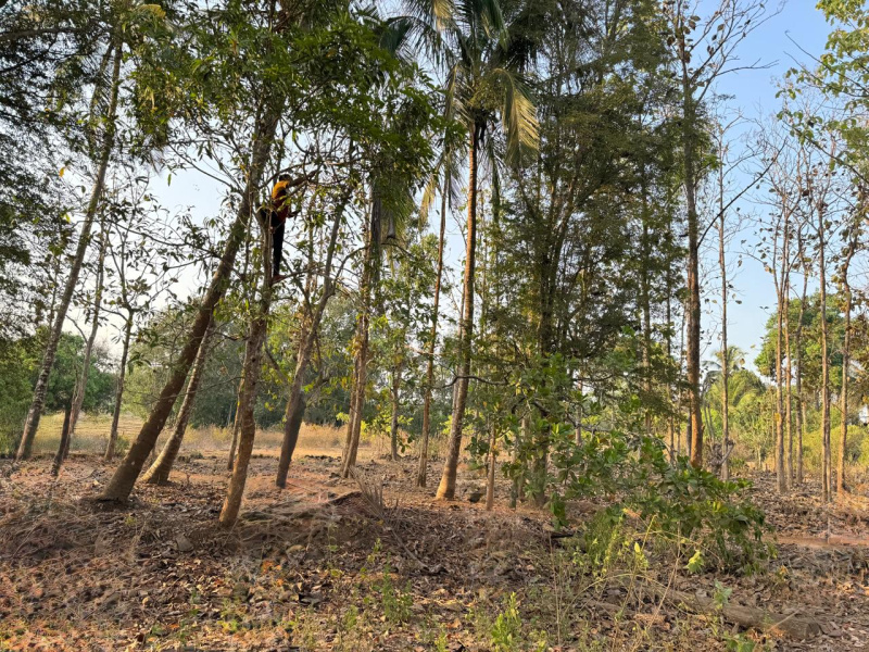  2 Acre Residential Plot for Sale in Yellapur, Uttara Kannada