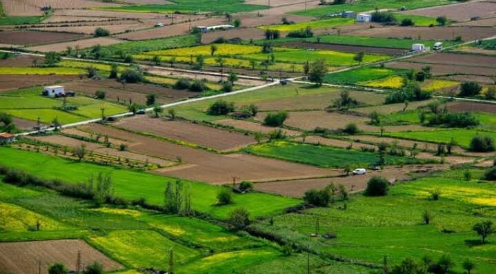  Commercial Land 5000 Sq.ft. for Sale in Ratibad, Bhopal